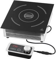 SARO Inbouw Inductie Kookplaat Model LOLA