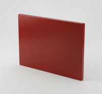 SARO Polyethyleen Snijplank met Anti Slip Voetjes Rood - 387-1015