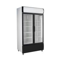 SARO Koelkast met 2 Glasdeuren en Reclame Display Model GTK 580