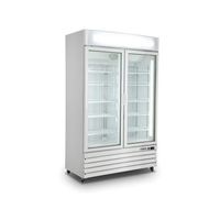 SARO Koelkast met 2 Glasdeuren Model G 885