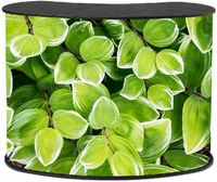 Syna Counter Professional Original L Zwart - CPOLTTB