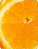 Syna FLP-SETPRINT-HW1 Flex Counter & Tower Hips Paneels 395x505mm tl.1mm, 8pcs