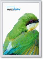 Syna 20 mm Kliklijst Rechte Hoeken A3 - KRA3G20