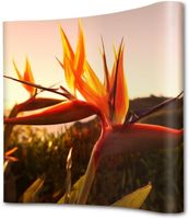 Syna Pop-Up Magnetic Curved 3 X 3 - PUM33C