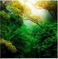 Syna Pop-Up Magnetic Straight 3 X 3 - PUM33S