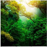 Syna Pop-Up Magnetic Straight met Soft Trolley 3 X 3 - PUM33S-ST