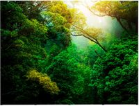 Syna Pop-Up Magnetic Straight 4 X 3 - PUM43S