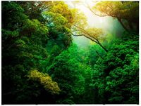 Syna Pop-Up Magnetic Straight met Soft Trolley 4 X 3 - PUM43S-ST