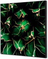 Syna Wanddecoratie Textiel SET 40 X 40 Cactus Groen - TFR22W400-SET-I820