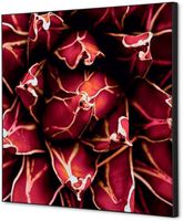 Syna Wanddecoratie Textiel SET 40 X 40 Cactus Rood - TFR22W400-SET-I821