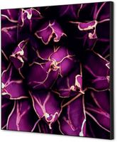 Syna Wanddecoratie Textiel SET 40 X 40 Cactus Paars - TFR22W400-SET-I822