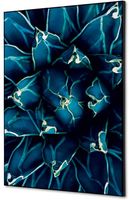 Syna Wanddecoratie Textiel SET A2 Cactus Blauw - TFR22WA2-SET-I819