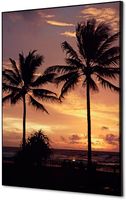 Syna Wanddecoratie Textiel SET A2 Palmbomen Zonsondergang - TFR22WA2-SET-I826