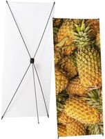 Syna X-Banner Budget 60 X 160 cm - XBB60-160