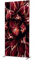 Syna Scheidingswand Textiel Deco 100-200 Cactus Rood I821 - ZBSLIM100-200-DSI821