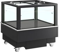 TEFCOLD EIB-D1010-B1 Zwarte impulskoeler/-vriezer