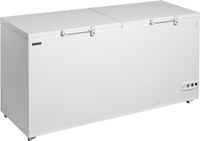 TEFCOLD FR606 SL Diepvrieskist