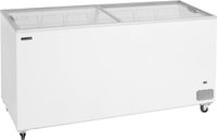 TEFCOLD IC552SC Vrieskast consumptie-ijs