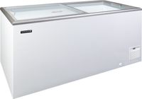 TEFCOLD IDA500-W1 Vrieskast consumptie-ijs
