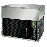 Ijsgranulaatmaker, Luchtgekoeld, 1000 Kg/24 Uur