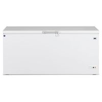 Mastro Diepvriezer (635 Liter) Met Vast Deksel, -24°C | Mastro | BGA0006/S | BGA0006/S