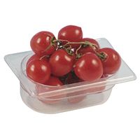 Mastro Gn Bak Van Polypropyleen, Gn 1/3 H=100 Mm | FAA0117