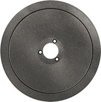 Blade In Teflon For Slicers Ø 300 mm, virtus Z/R384