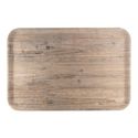 Roltex 518309 Dienblad - 60x40cm