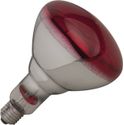 Warmtelamp 250W | 710205