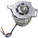 AM363 Buffalo motor