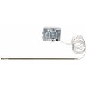 AT031 Buffalo 600 Series thermostaat