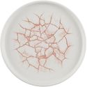 Churchill Studio Prints Kintsugi Coral Borden 220mm (Pak van 6) - CX688