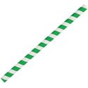 Fiesta Green groen/wit gestreepte papieren smoothierietjes 21cm | FB148