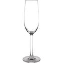 Olympia Modale champagneglazen 21,5cl | GF728