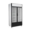 SARO Koelkast met 2 Glasdeuren en Reclame Display Model GTK 580