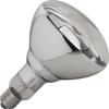 Warmtelamp 250W | 710206