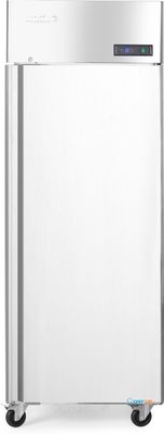 Arktic Vriezer enkele deur Profi Line 670L | 232132