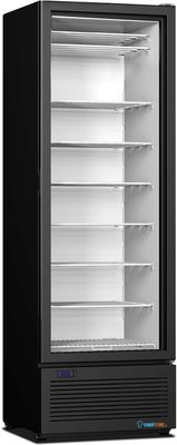 VRIESKAST GLASDEUR 400 - Combisteel 7472.0215 1