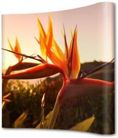 Syna Pop-Up Magnetic Curved 2 X 3 - PUM23C