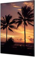 Syna Wanddecoratie Textiel SET A1 Palmbomen Zonsondergang - TFR22WA1-SET-I826