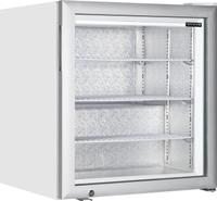 TEFCOLD Tafel Vrieskast - UF100G