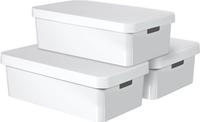INFINITY Set van 3 Opbergdozen met Deksel 30L - 240671