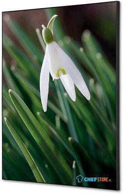 Syna Wanddecoratie Textiel SET A2 Witte Bloem Sneeuwklokje - TFR22WA2-SET-I24