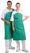 Whites PVC nylon halterschort groen | A590 9