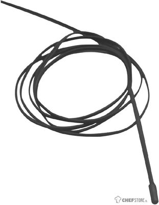 Polar AS062 sonde (3 m)