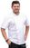 Chef Works Cannes Koksbuis met Korte Mouwen - maat L - BB669-XXL 2