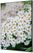 Syna Wanddecoratie Textiel SET A2 Witte Bloem Spirea - TFR22WA2-SET-I3
