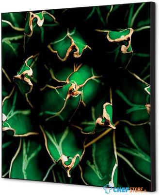 Syna Wanddecoratie Textiel SET 40 X 40 Cactus Groen - TFR22W400-SET-I820