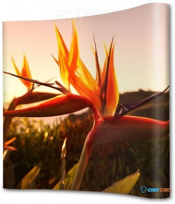 Syna Pop-Up Magnetic Curved 2 X 3 - PUM23C