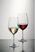 Schott Zwiesel Ivento Rodewijnglazen 480ml (6 Stuks) - Schott Zwiesel GL135 5